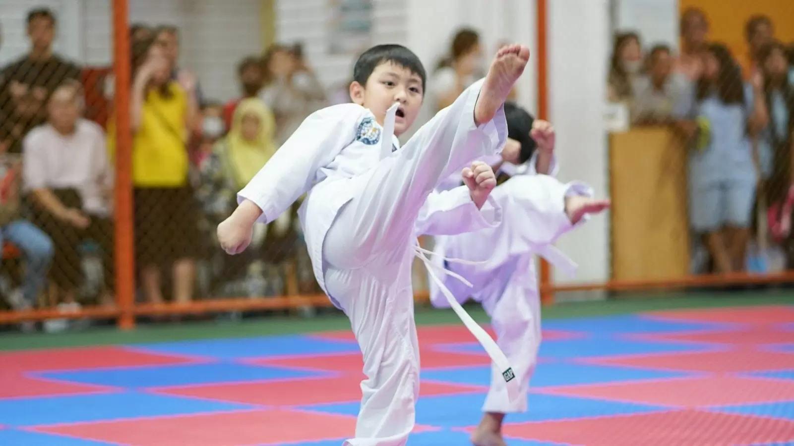 Taekwondo Scoring: Areas, Penalties, and Knockdowns